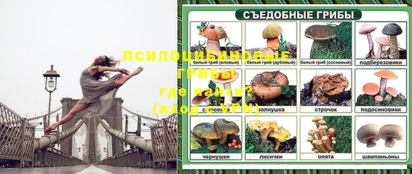 круглые Аркадак
