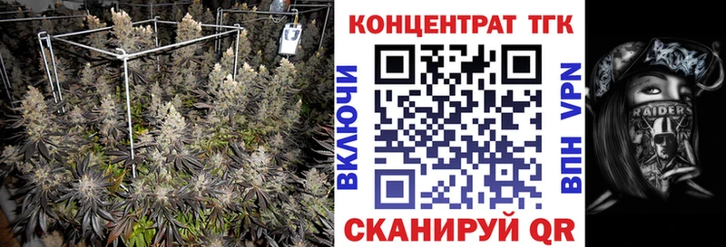 ТГК гашишное масло  Полярные Зори 